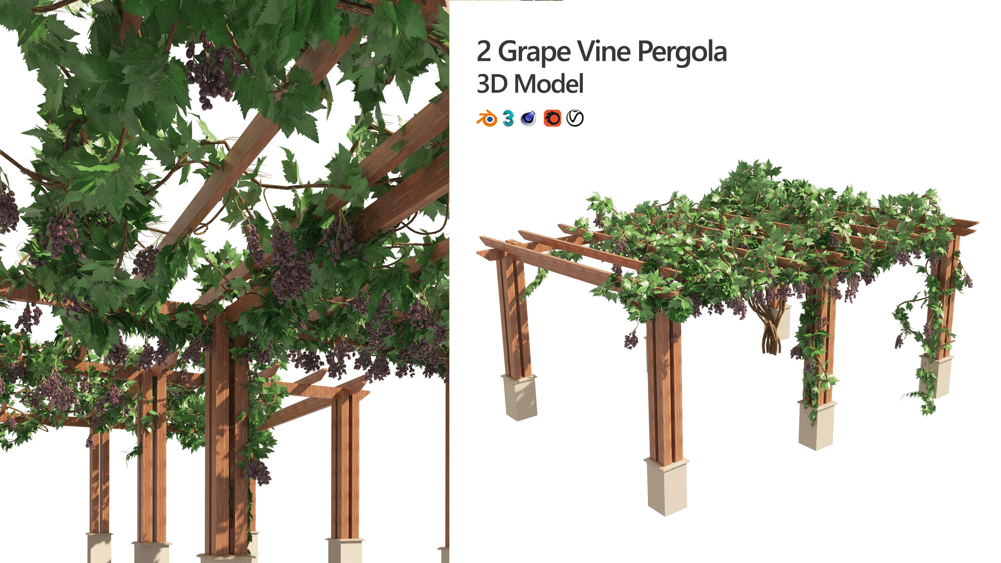 2 Grape Vine Pergola 3D model_1