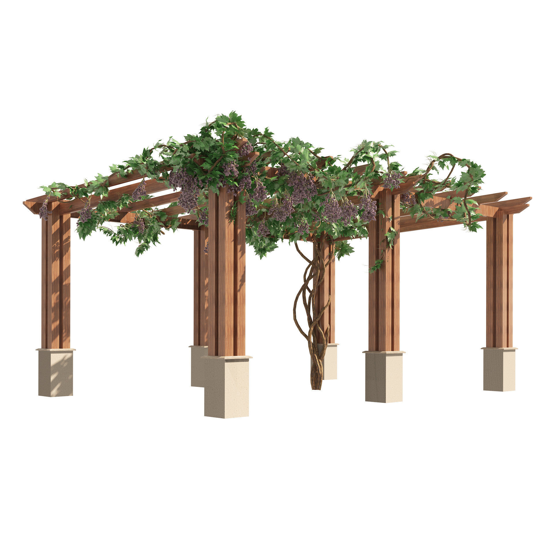 2 Grape Vine Pergola 3D model_3