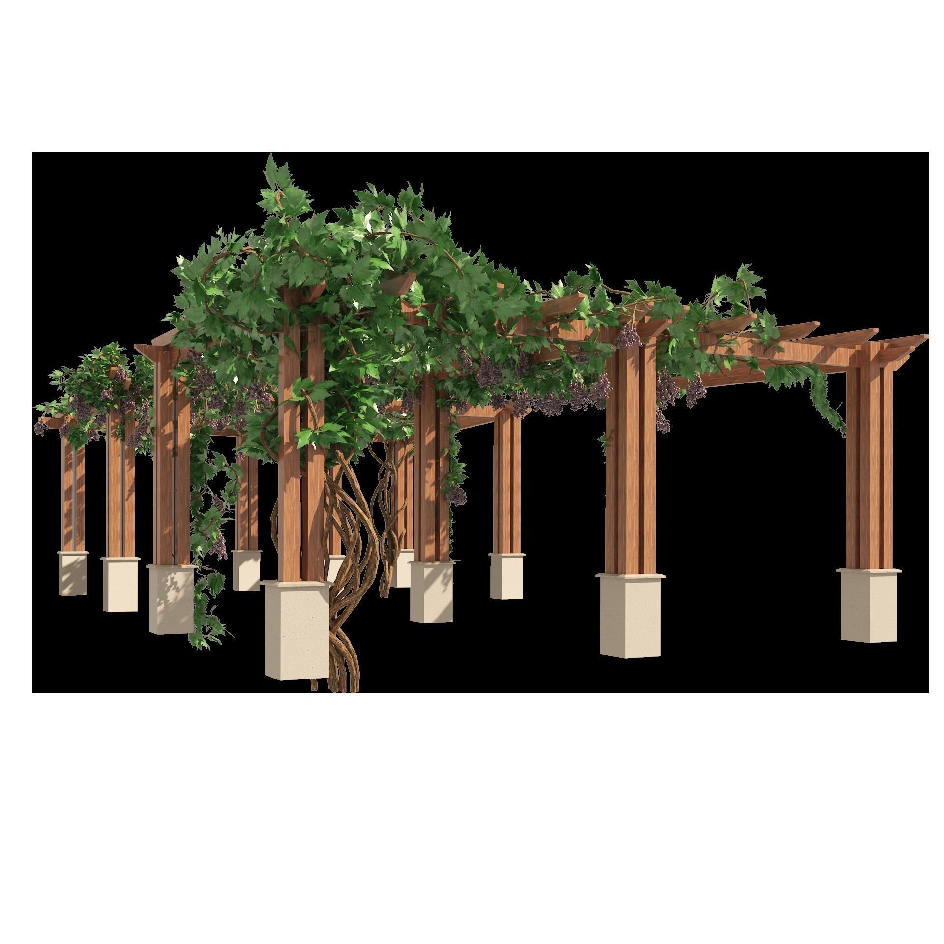2 Grape Vine Pergola 3D model_10