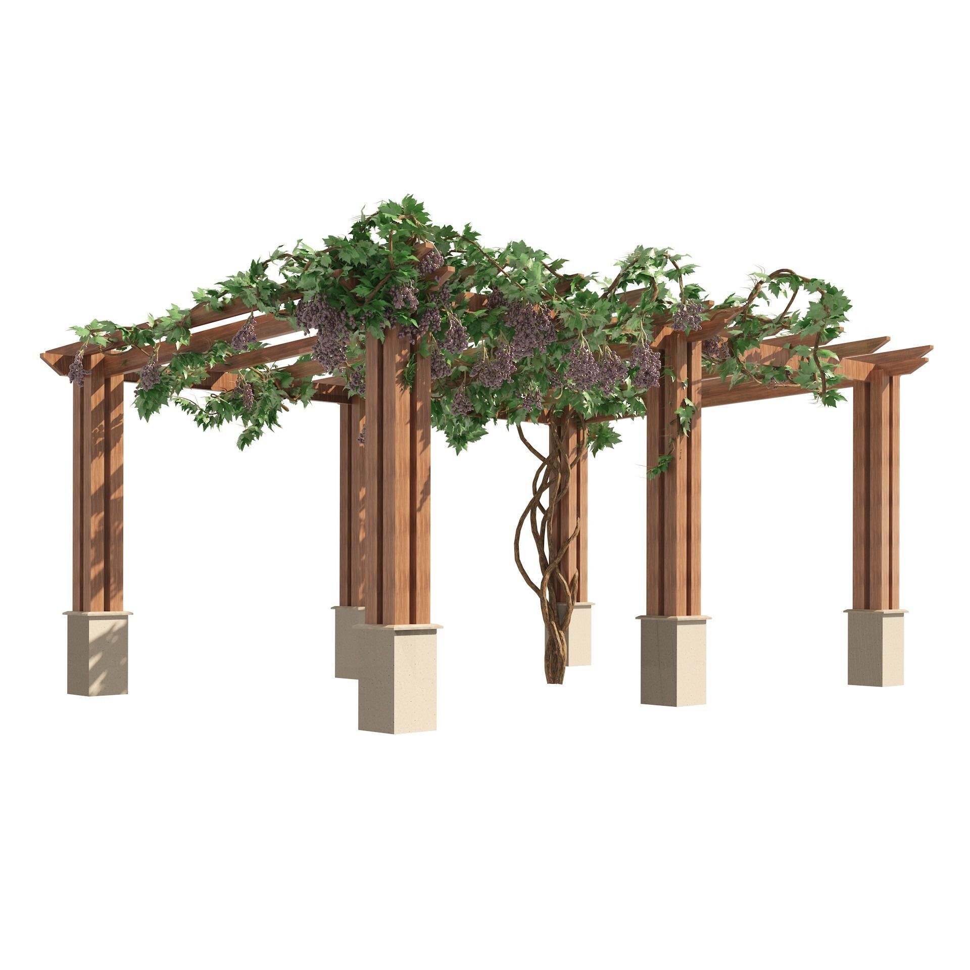 2 Grape Vine Pergola 3D model_11