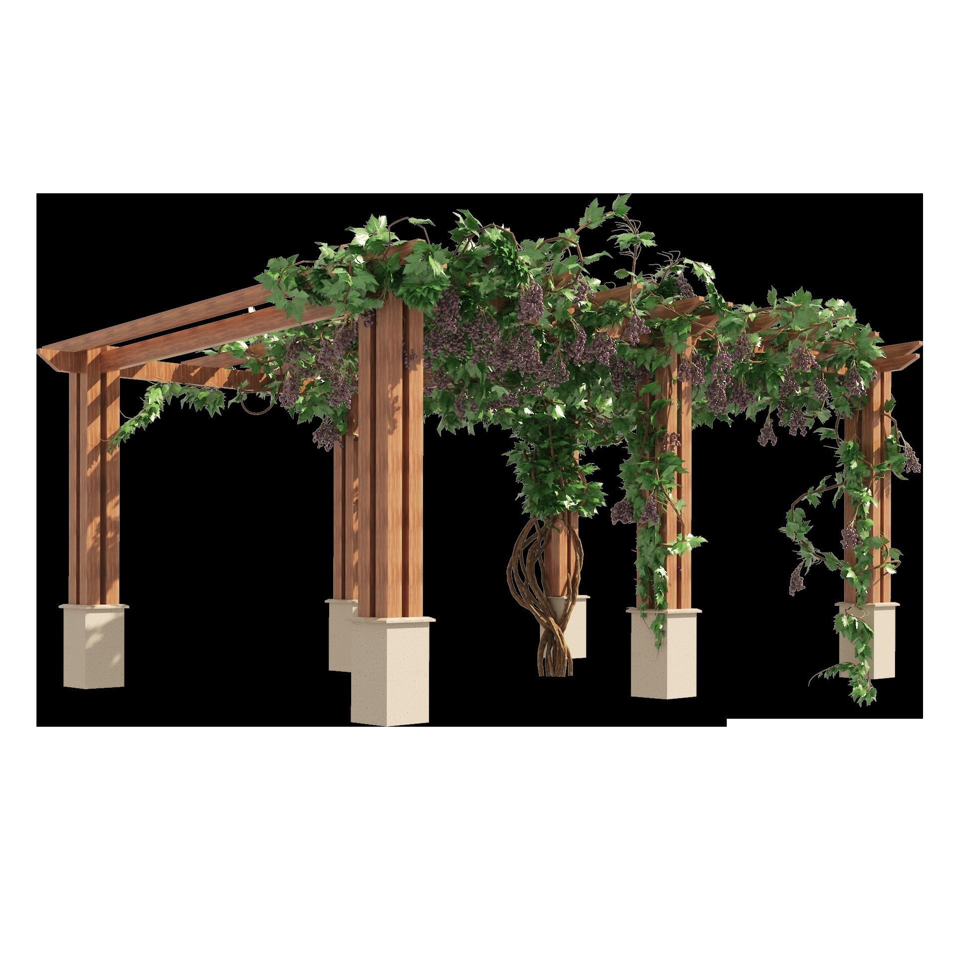 2 Grape Vine Pergola 3D model_12