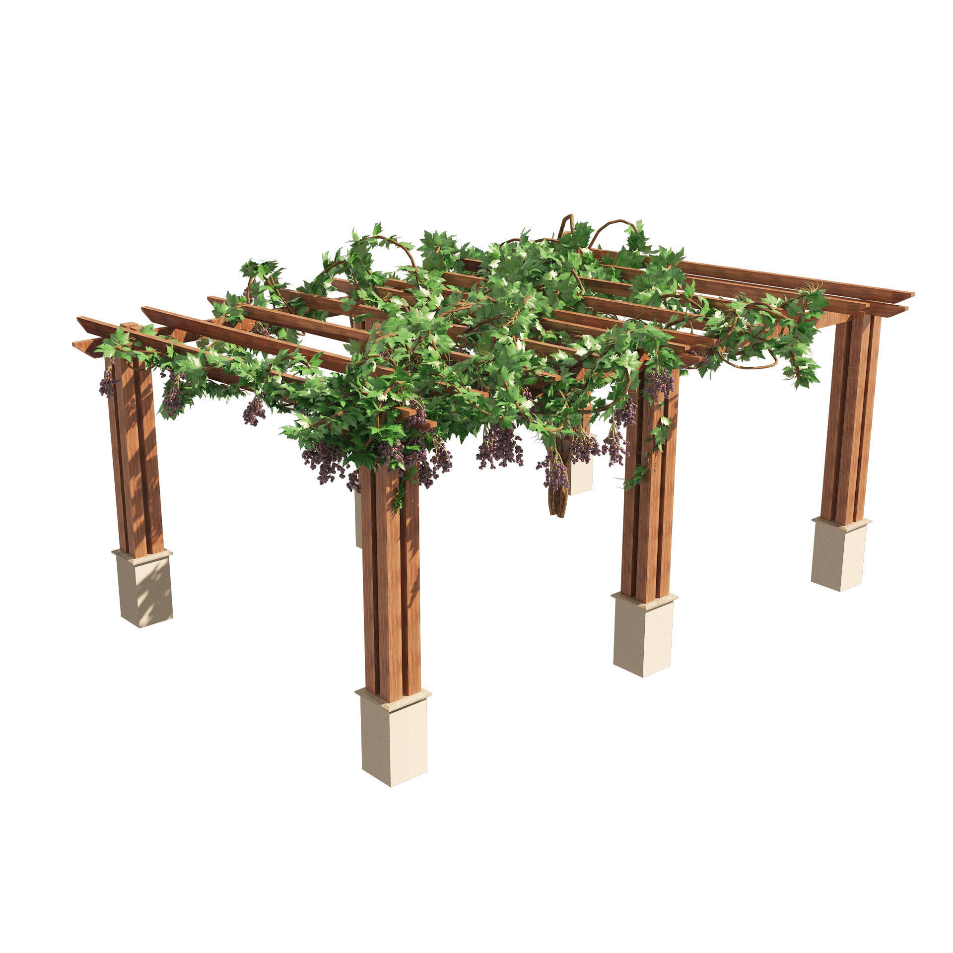 2 Grape Vine Pergola 3D model_5