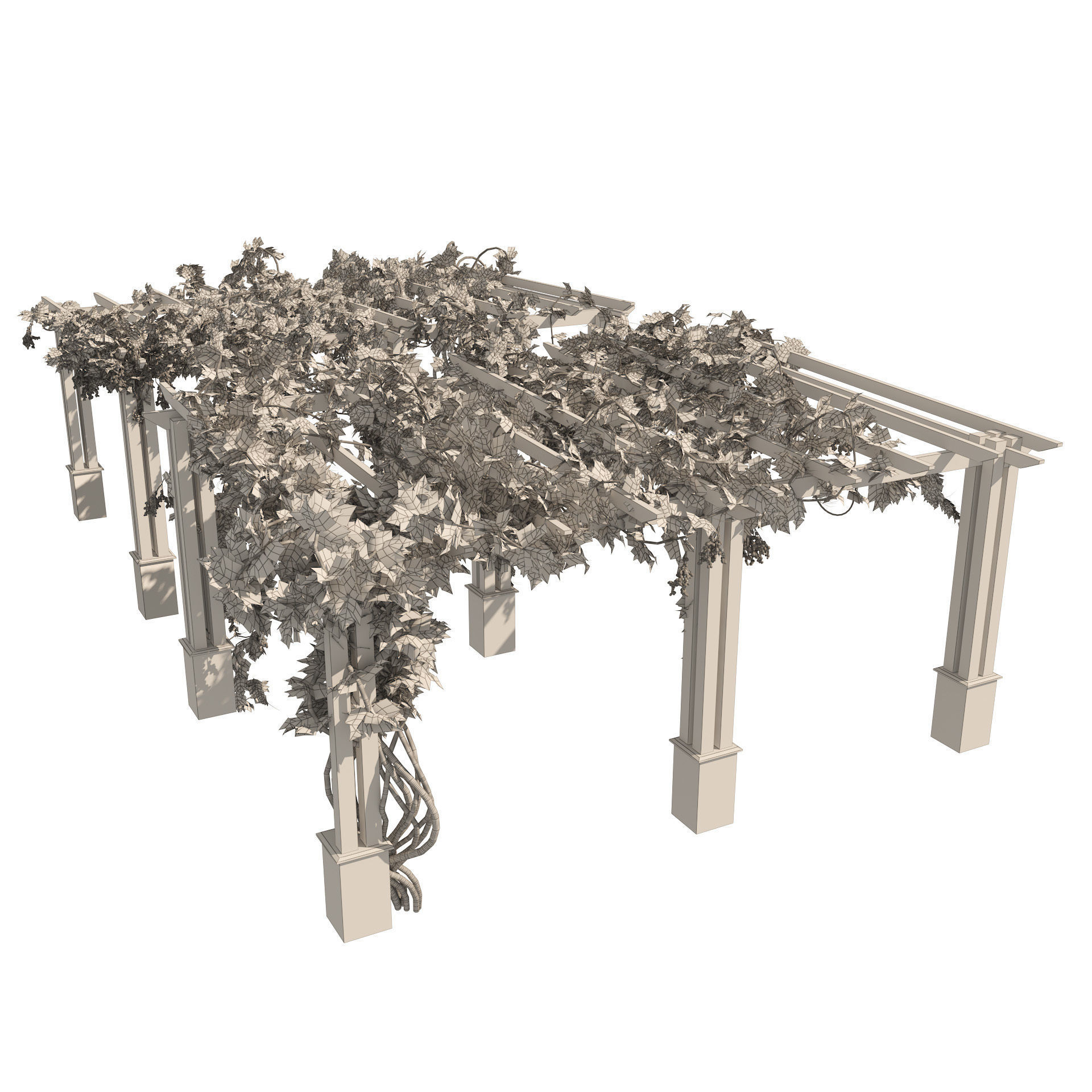 2 Grape Vine Pergola 3D model_8