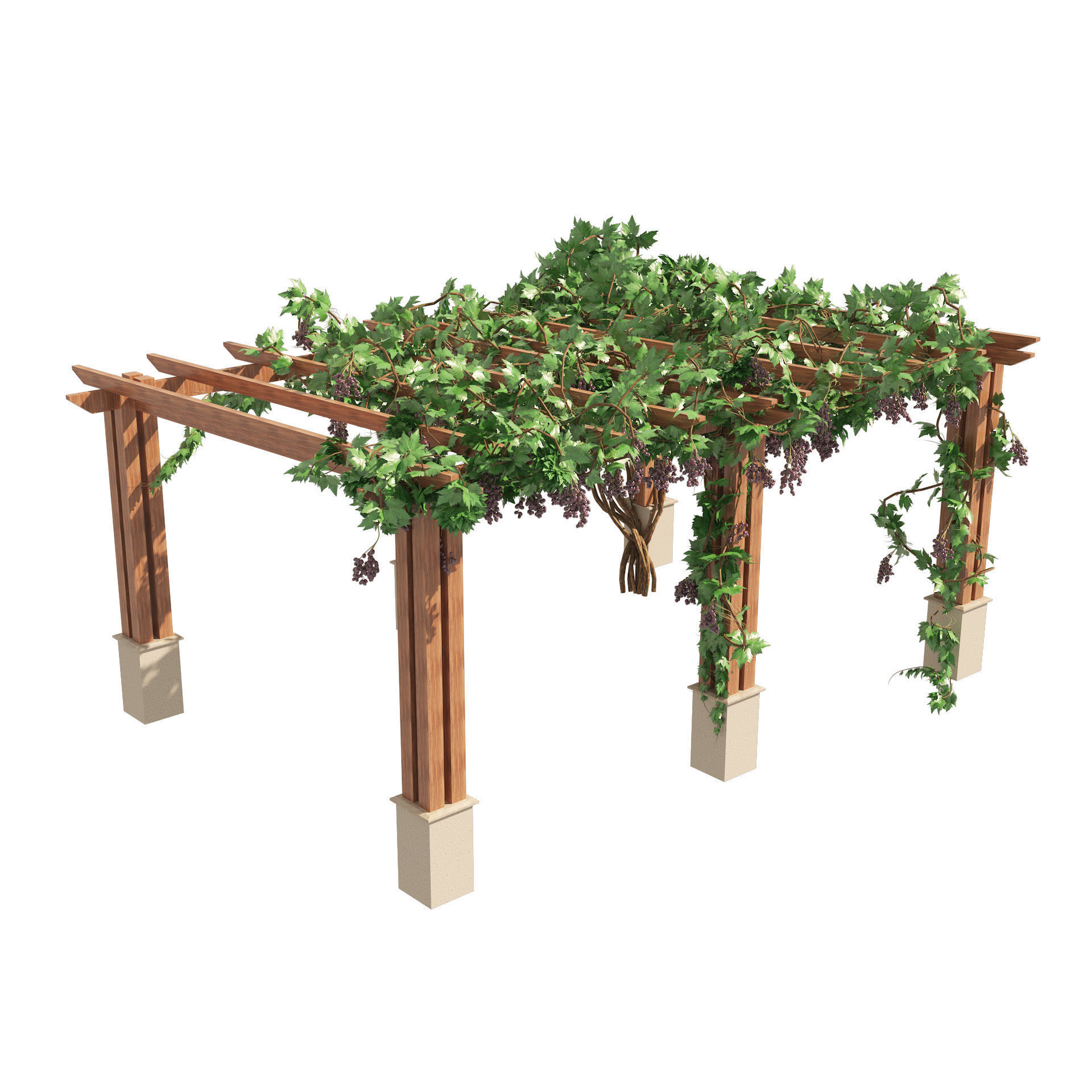 2 Grape Vine Pergola 3D model_6