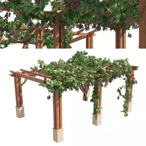 2 Grape Vine Pergola 3D model