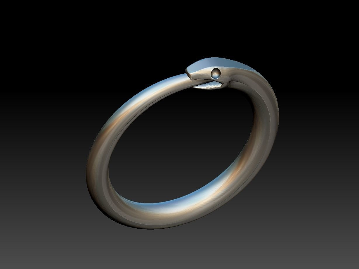 Ouroborus Straight ring 3D print model_10