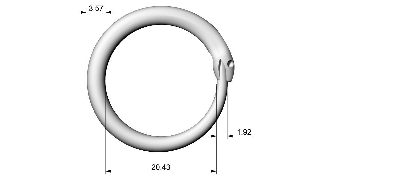 Ouroborus Straight ring 3D print model_4