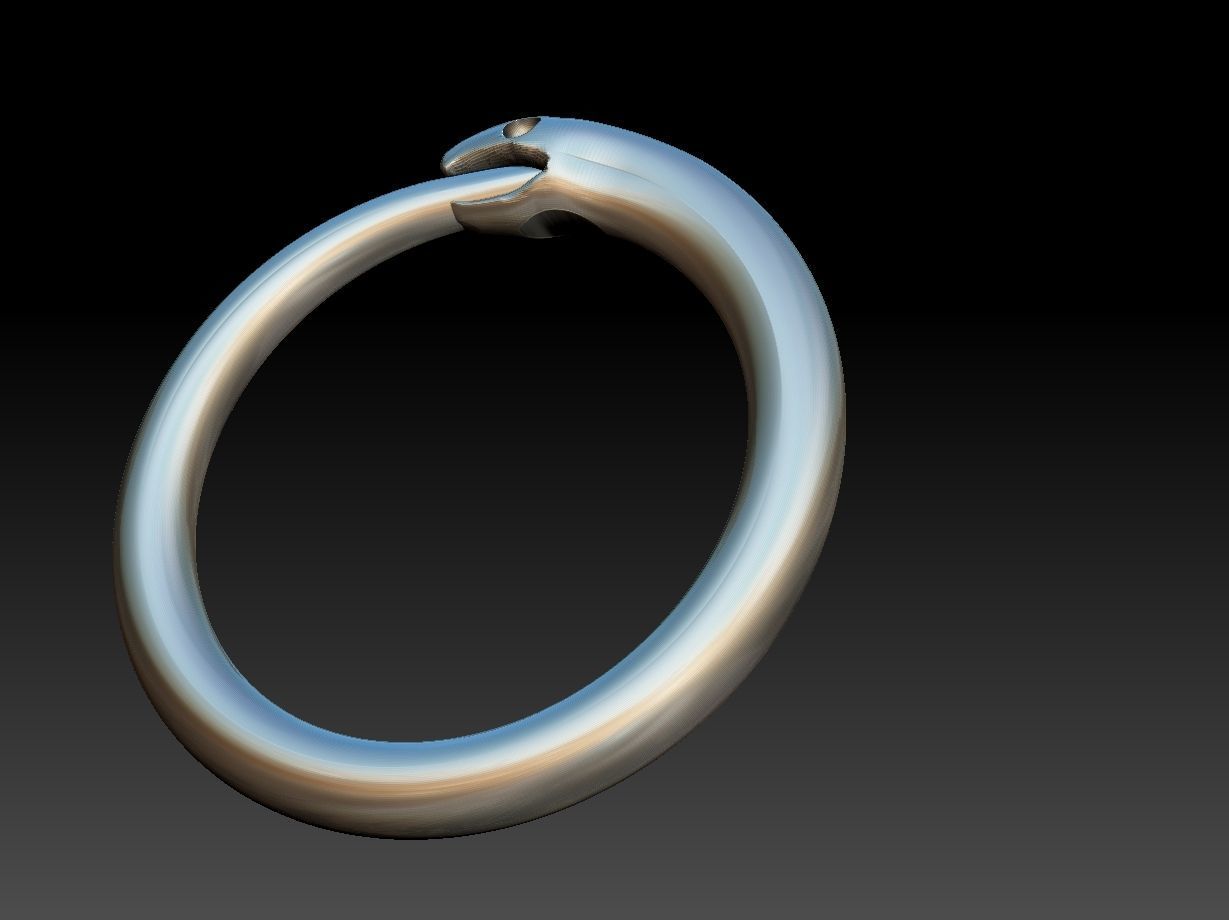 Ouroborus Straight ring 3D print model_7