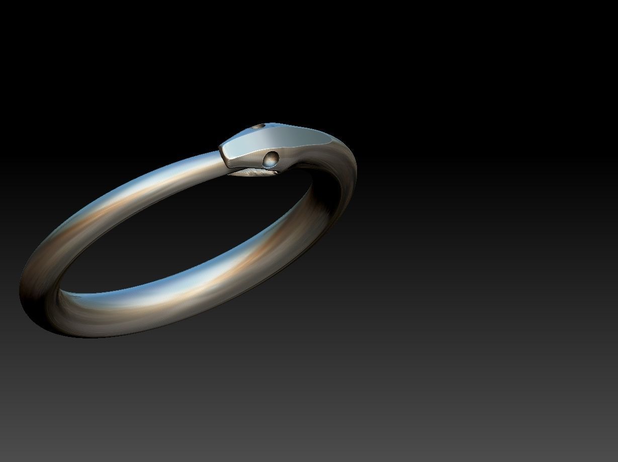 Ouroborus Straight ring 3D print model_12
