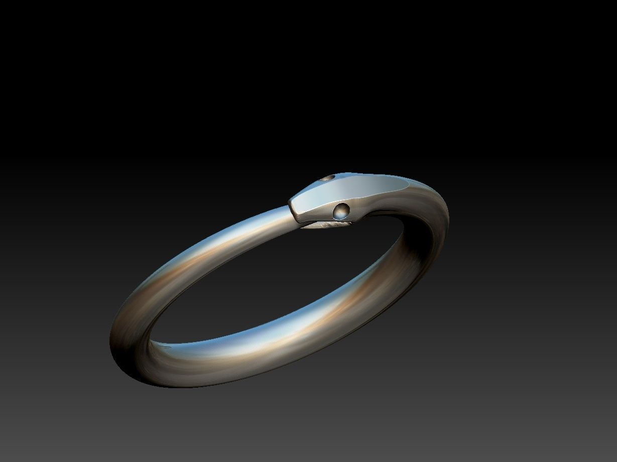 Ouroborus Straight ring 3D print model_19