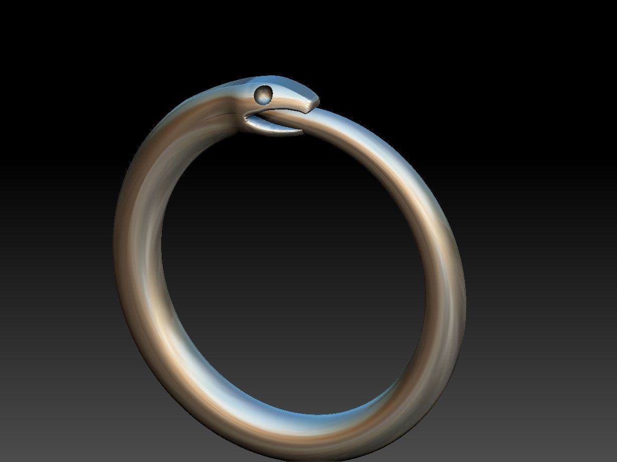 Ouroborus Straight ring 3D print model_1