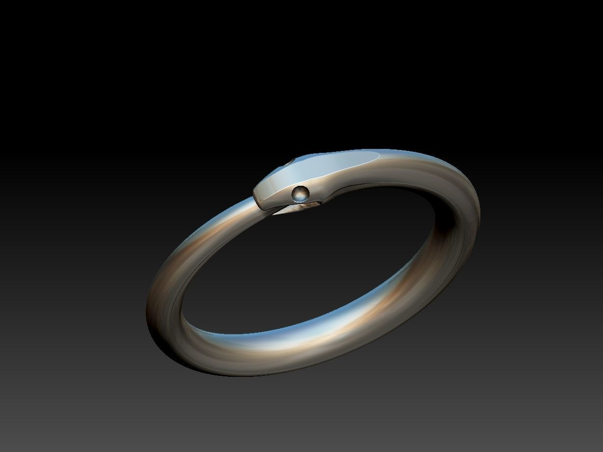 Ouroborus Straight ring 3D print model_15