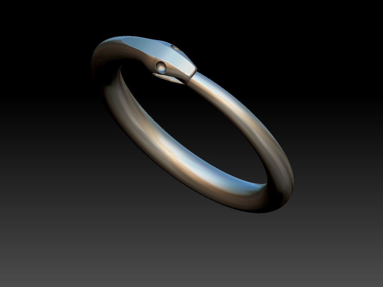 Ouroborus Straight ring 3D print model_2