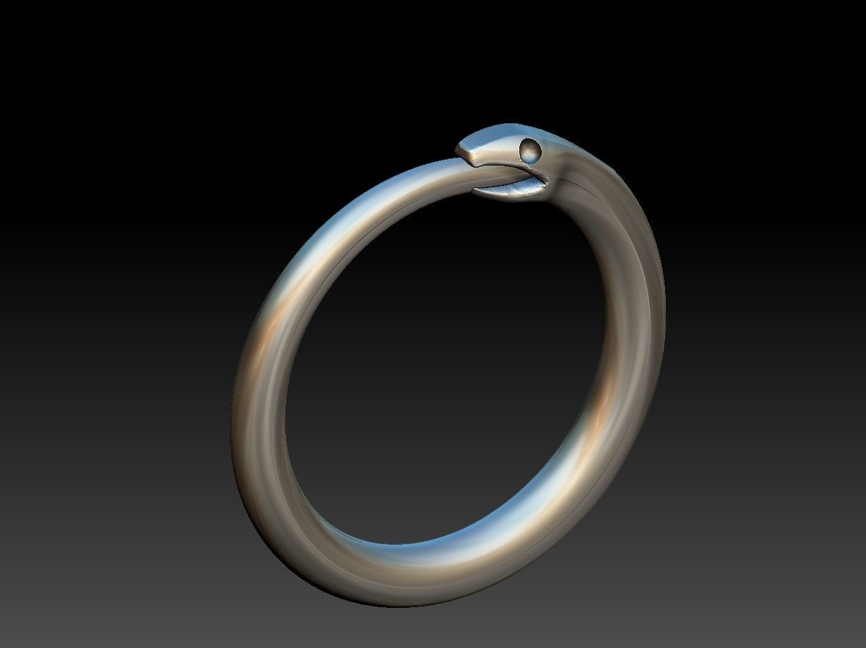 Ouroborus Straight ring 3D print model_8