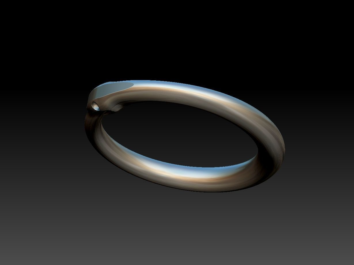 Ouroborus Straight ring 3D print model_16