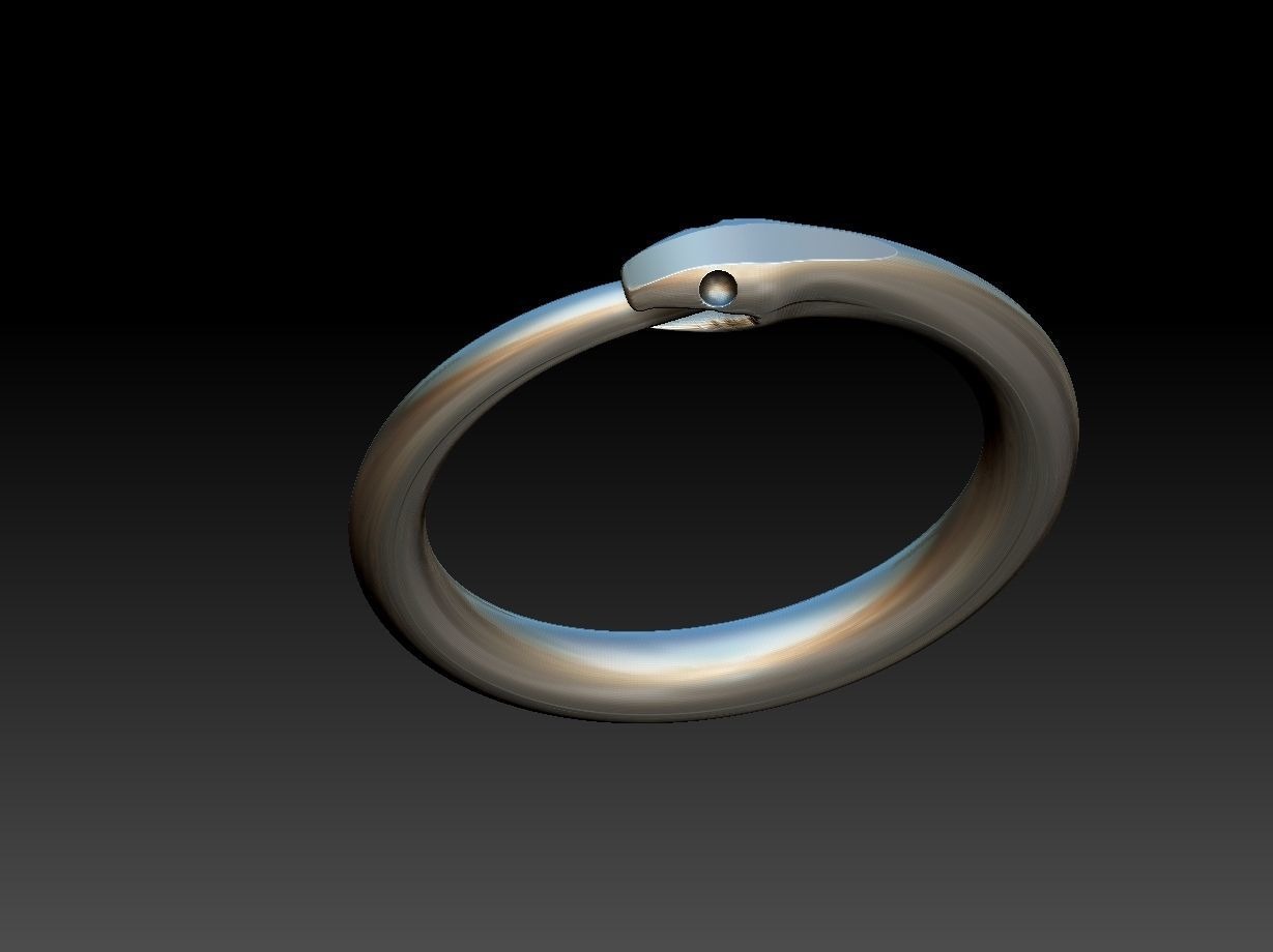 Ouroborus Straight ring 3D print model_9