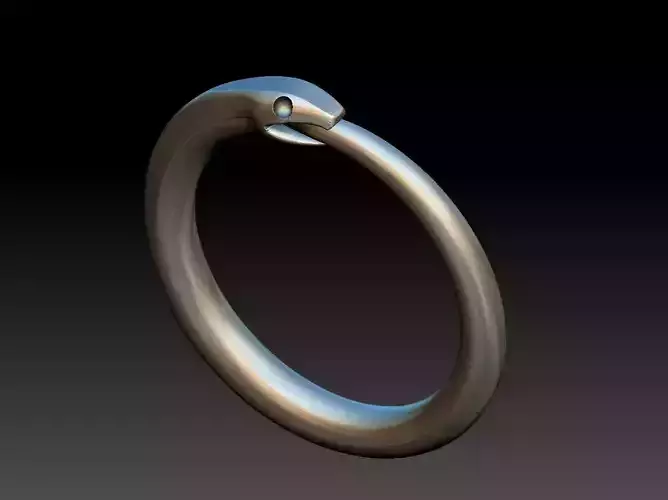 Ouroborus Straight ring