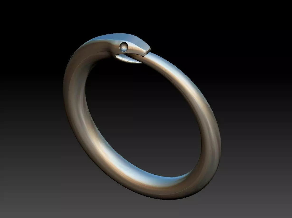 Ouroborus Straight ring 3D print model_0