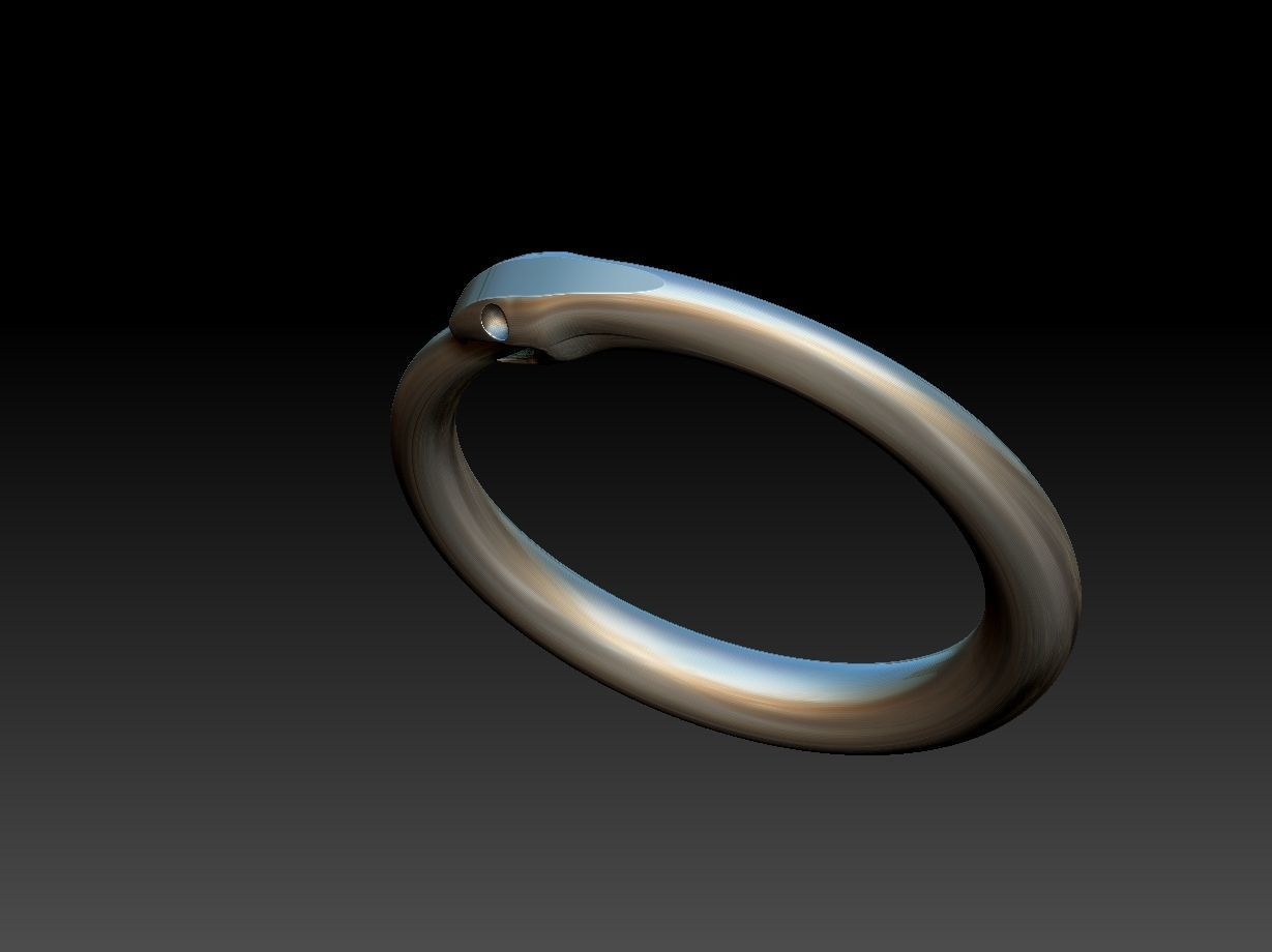 Ouroborus Straight ring 3D print model_11