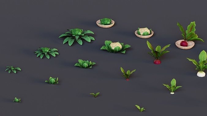 Vegetables Farm G92 Low-poly 3D model 2