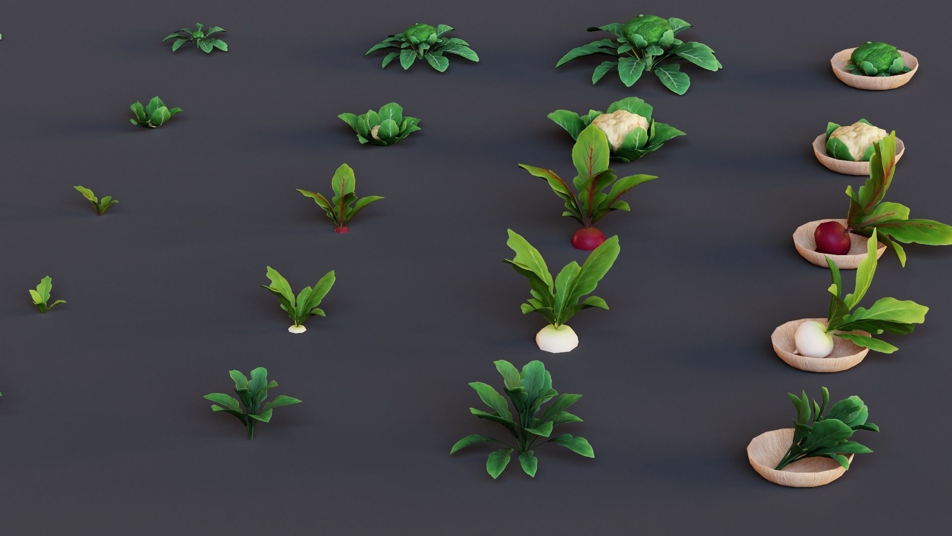 Vegetables Farm G92 Low-poly 3D model_12