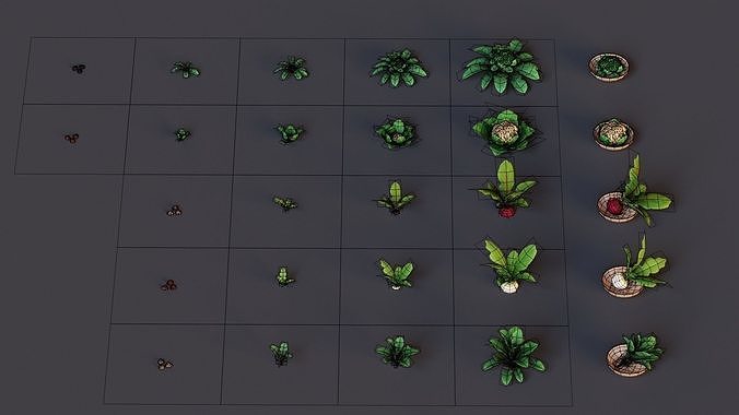 Vegetables Farm G92 Low-poly 3D model 4