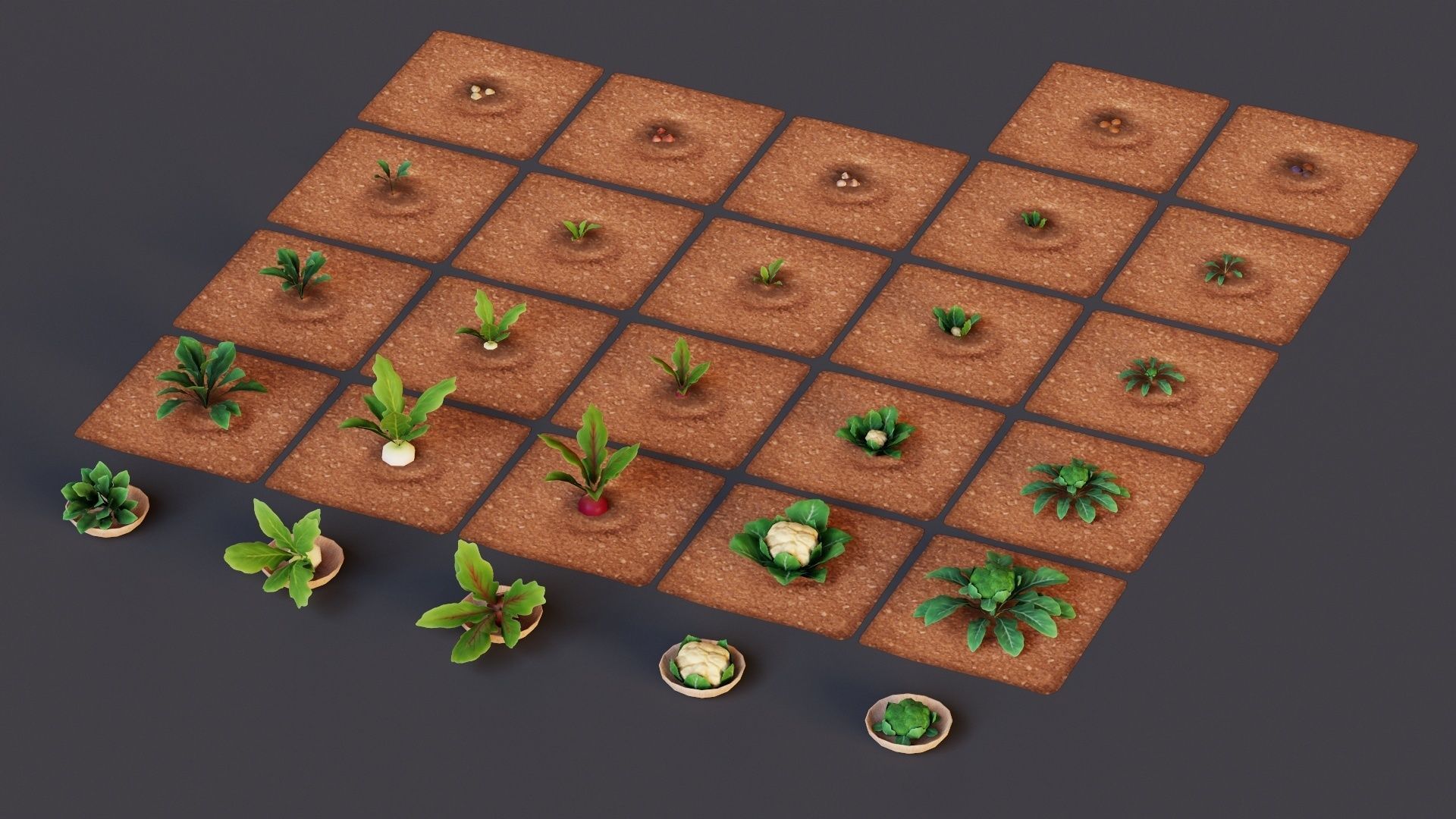 Vegetables Farm G92 Low-poly 3D model_24