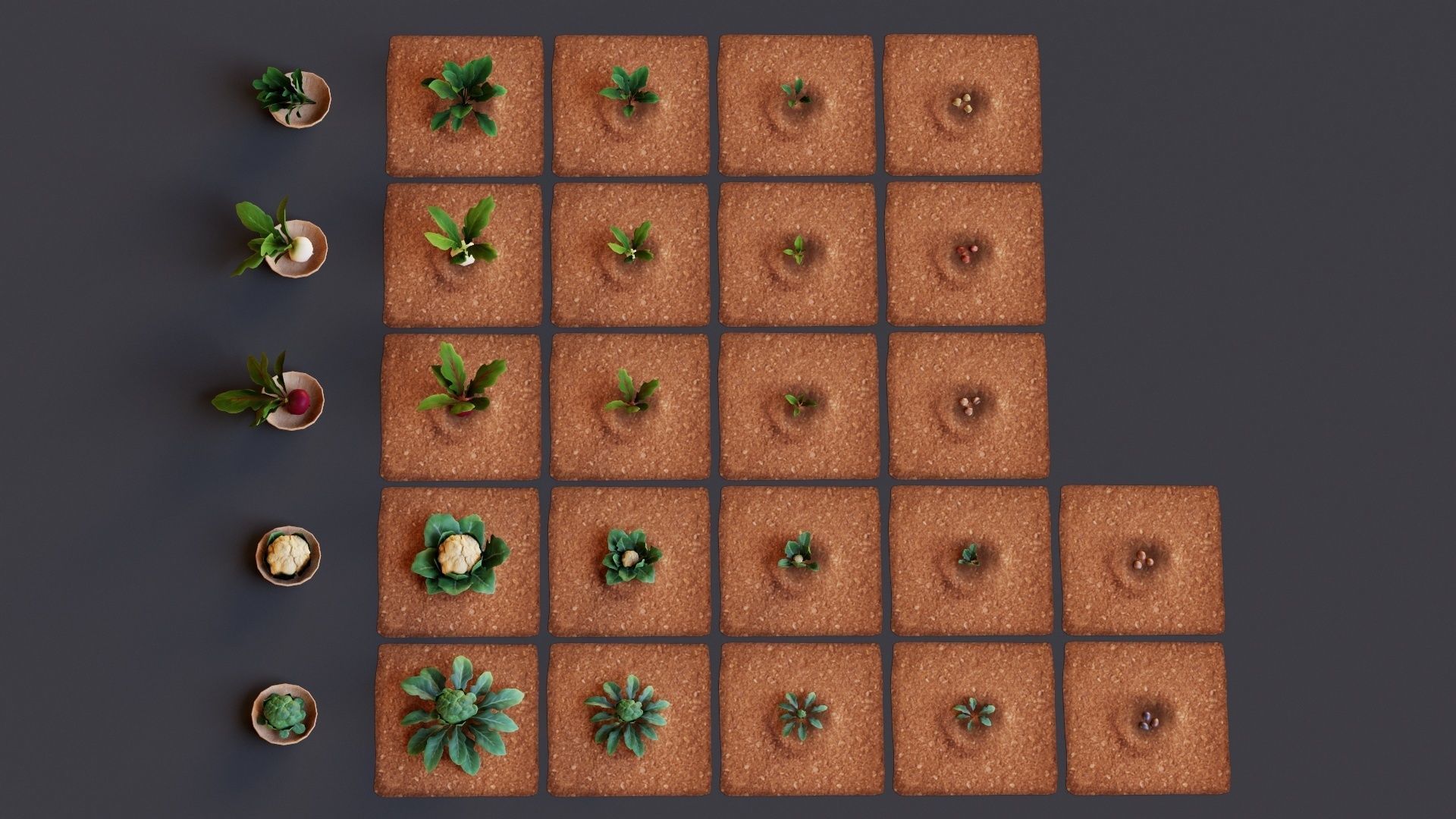 Vegetables Farm G92 Low-poly 3D model_14