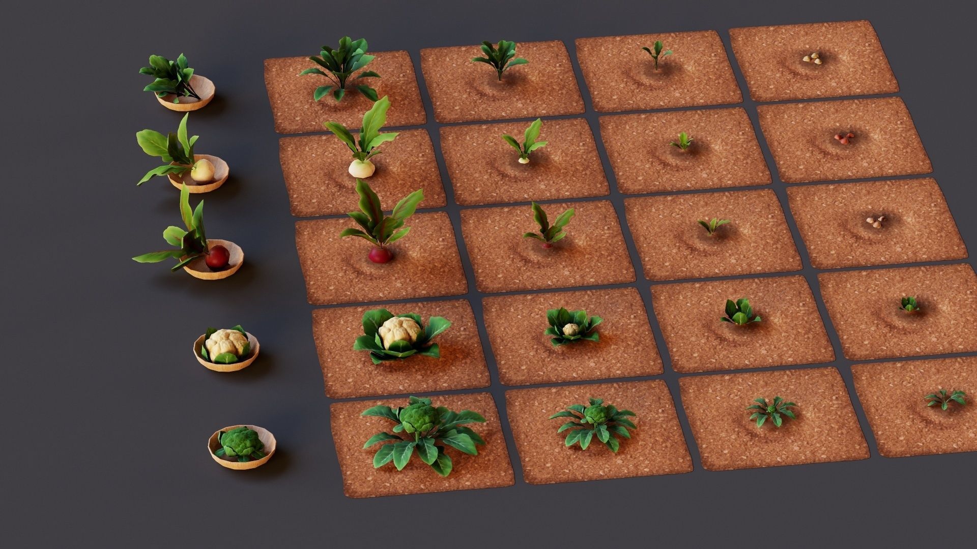 Vegetables Farm G92 Low-poly 3D model_18