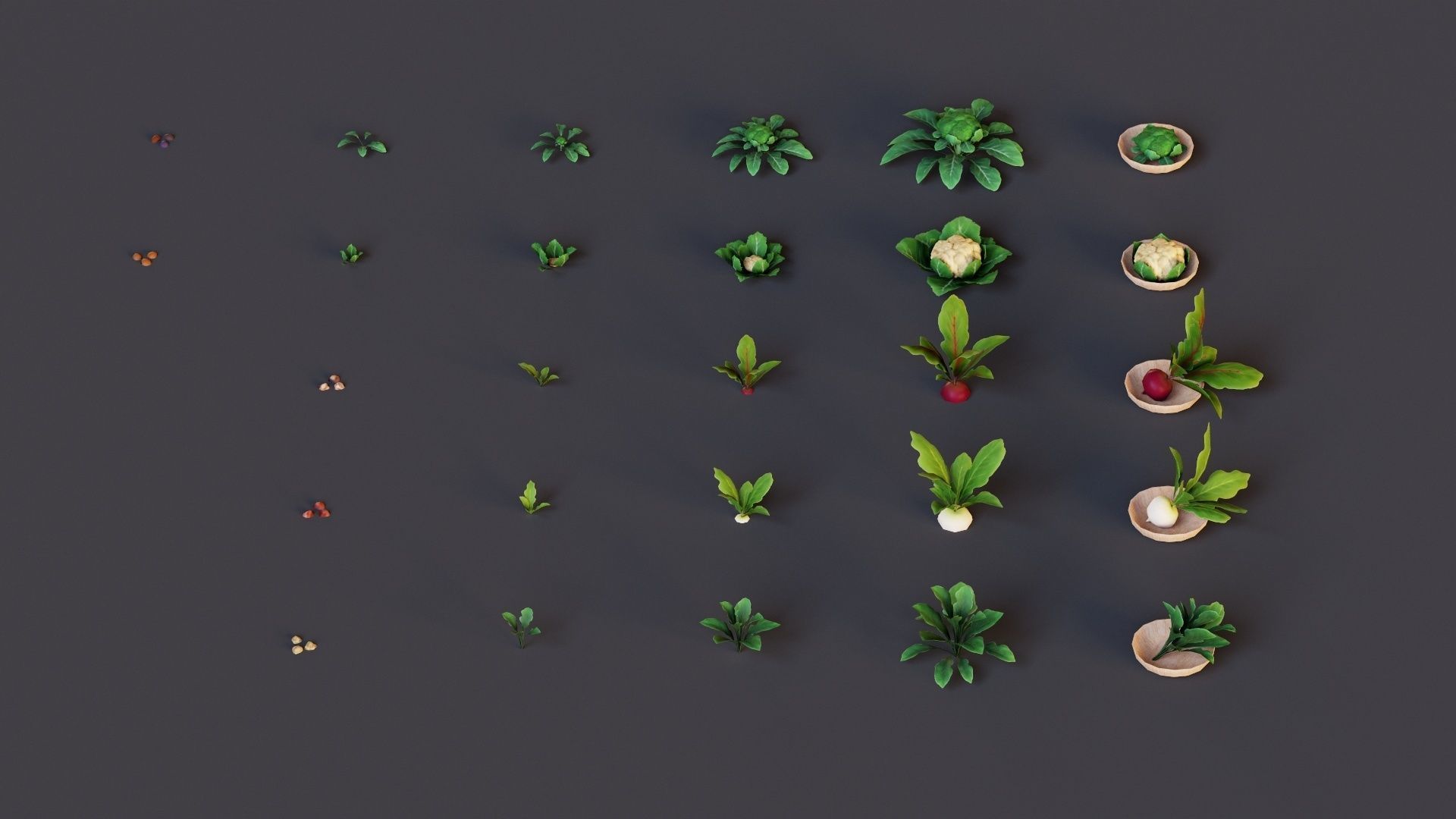 Vegetables Farm G92 Low-poly 3D model_21