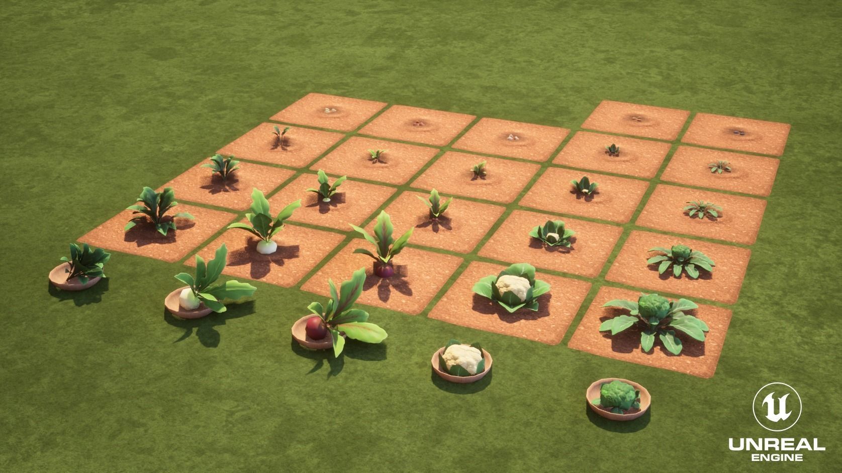 Vegetables Farm G92 Low-poly 3D model_9