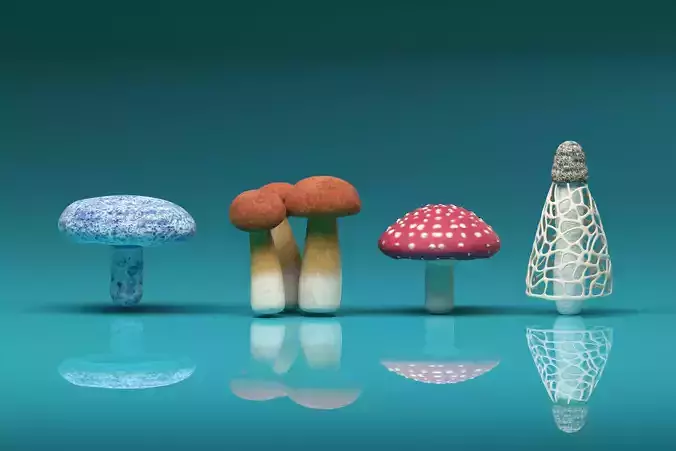 Mushroom Pack 3D model