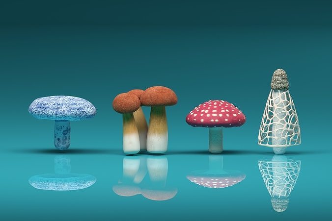 Mushroom Pack 3D model