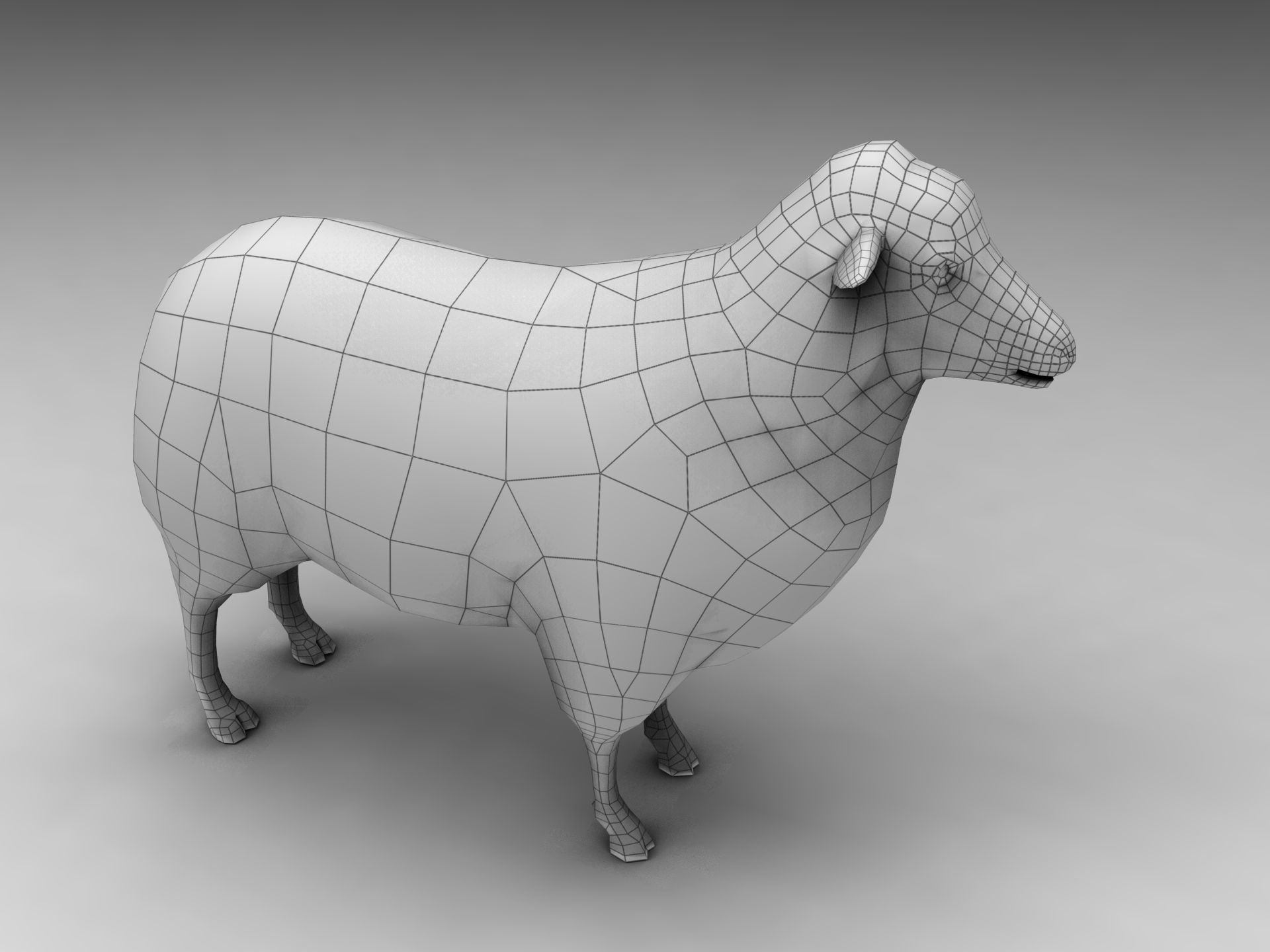 Fur Black Sheep Rigged in Blender Low-poly 3D model_14