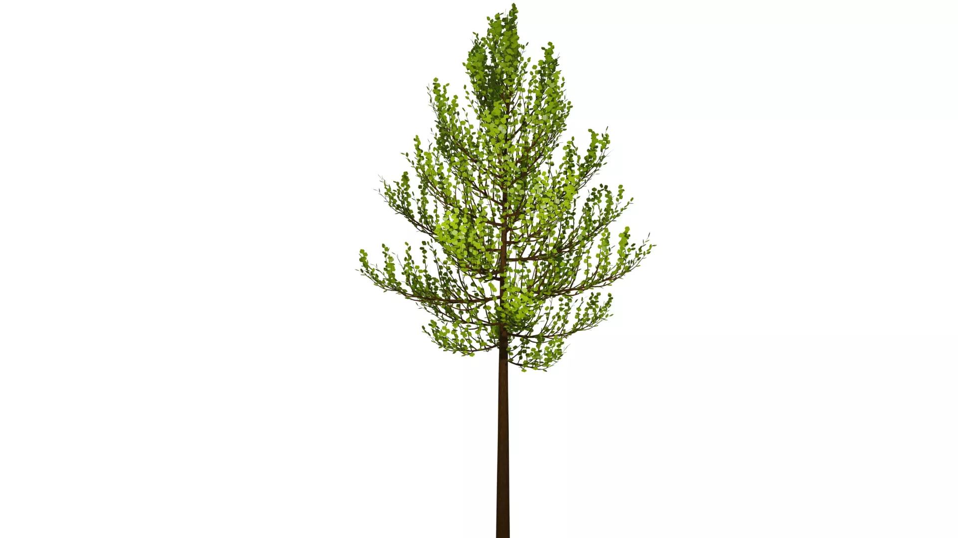 Spring or Summer Tree PBR low-poly game ready  Low-poly 3D model_0