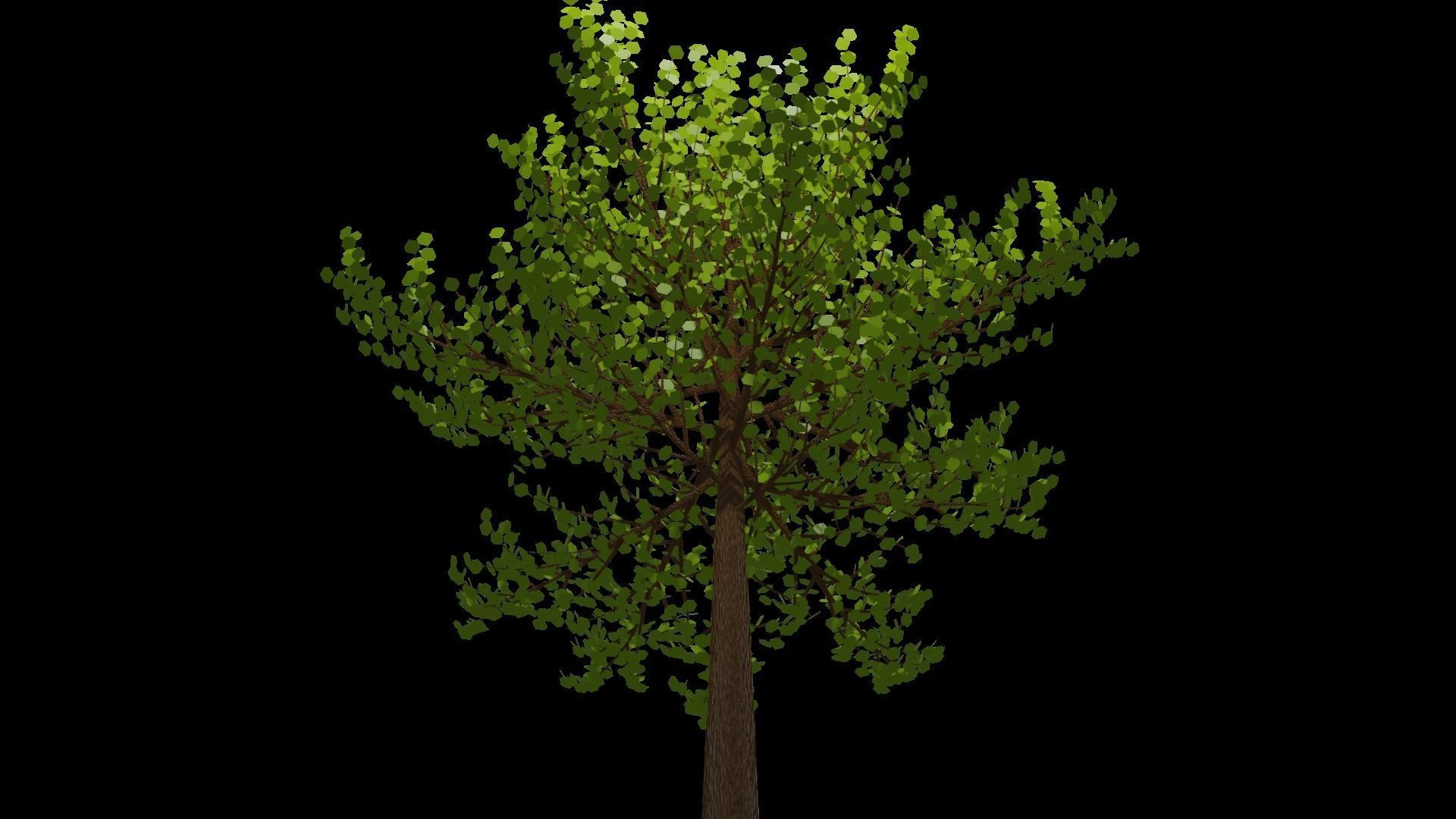 Spring or Summer Tree PBR low-poly game ready  Low-poly 3D model_7