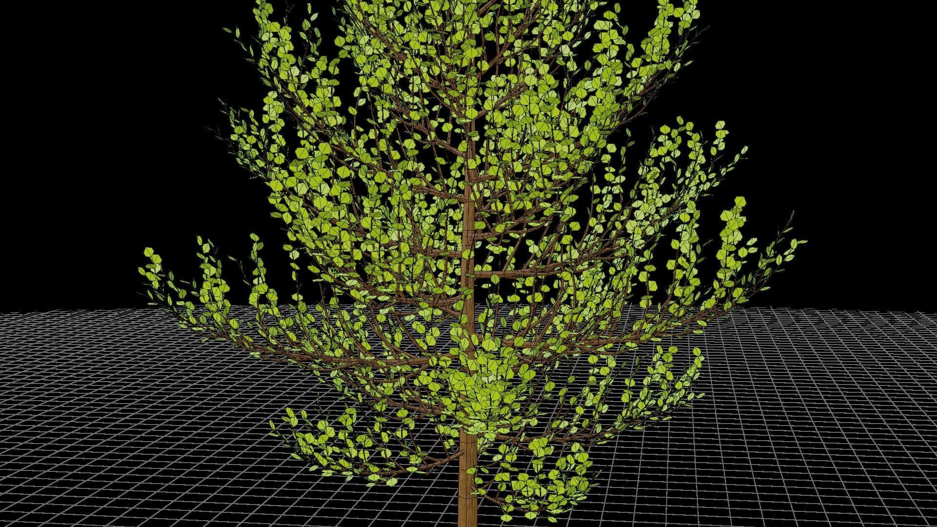 Spring or Summer Tree PBR low-poly game ready  Low-poly 3D model_1