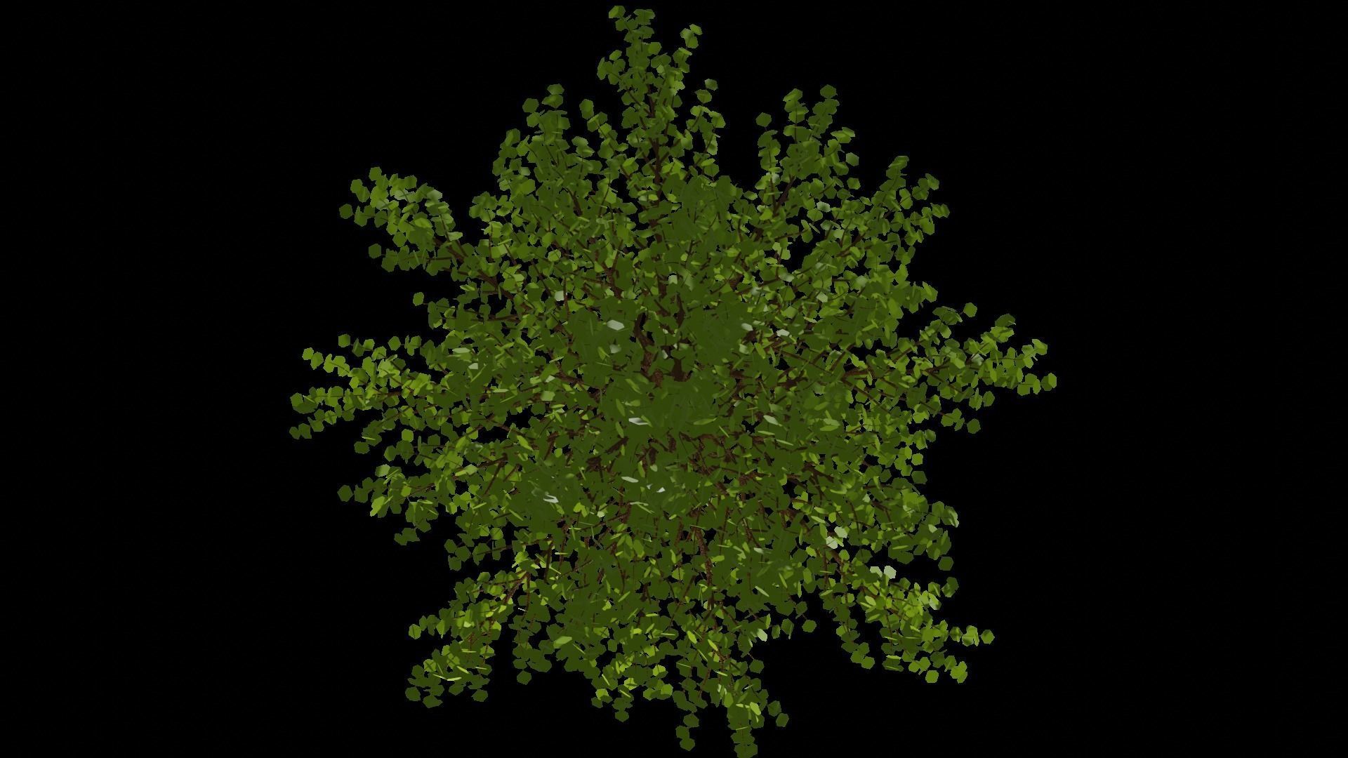 Spring or Summer Tree PBR low-poly game ready  Low-poly 3D model_6