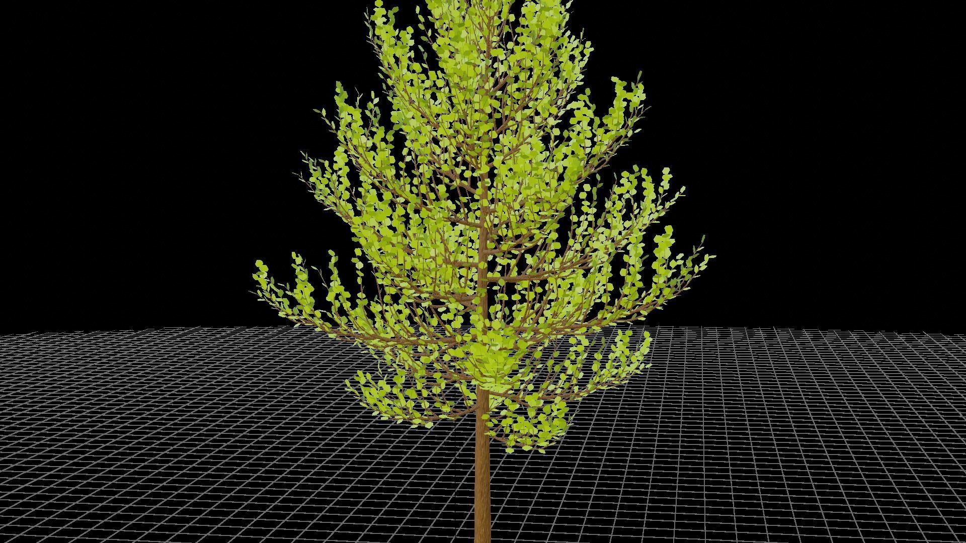 Spring or Summer Tree PBR low-poly game ready  Low-poly 3D model_9