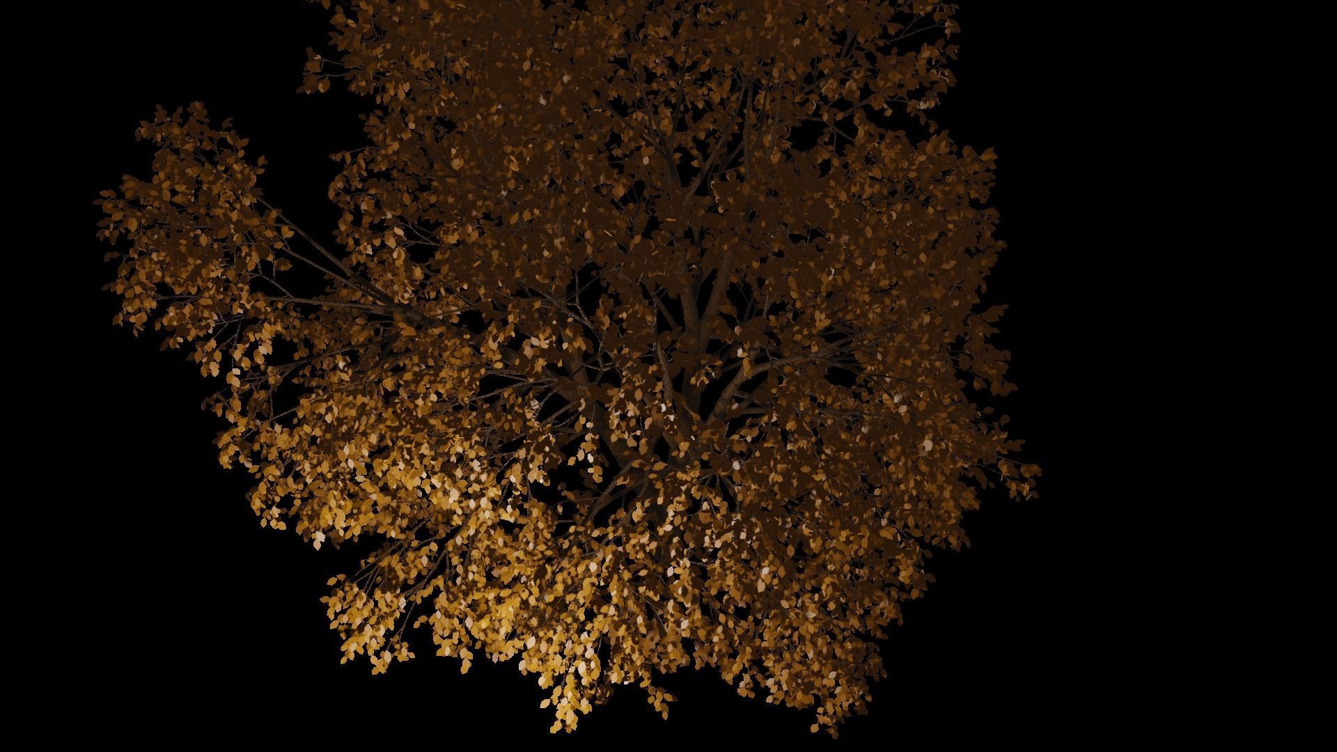 Autumn Tree PBR low-poly game ready tree Low-poly 3D model_6