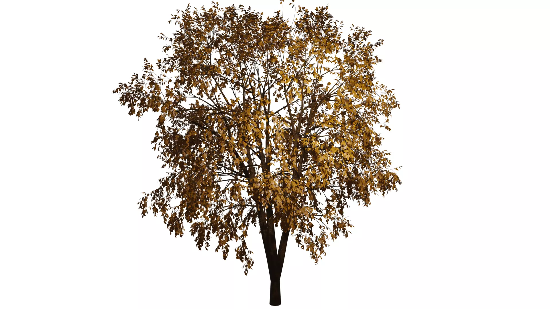 Autumn Tree PBR low-poly game ready tree Low-poly 3D model_0
