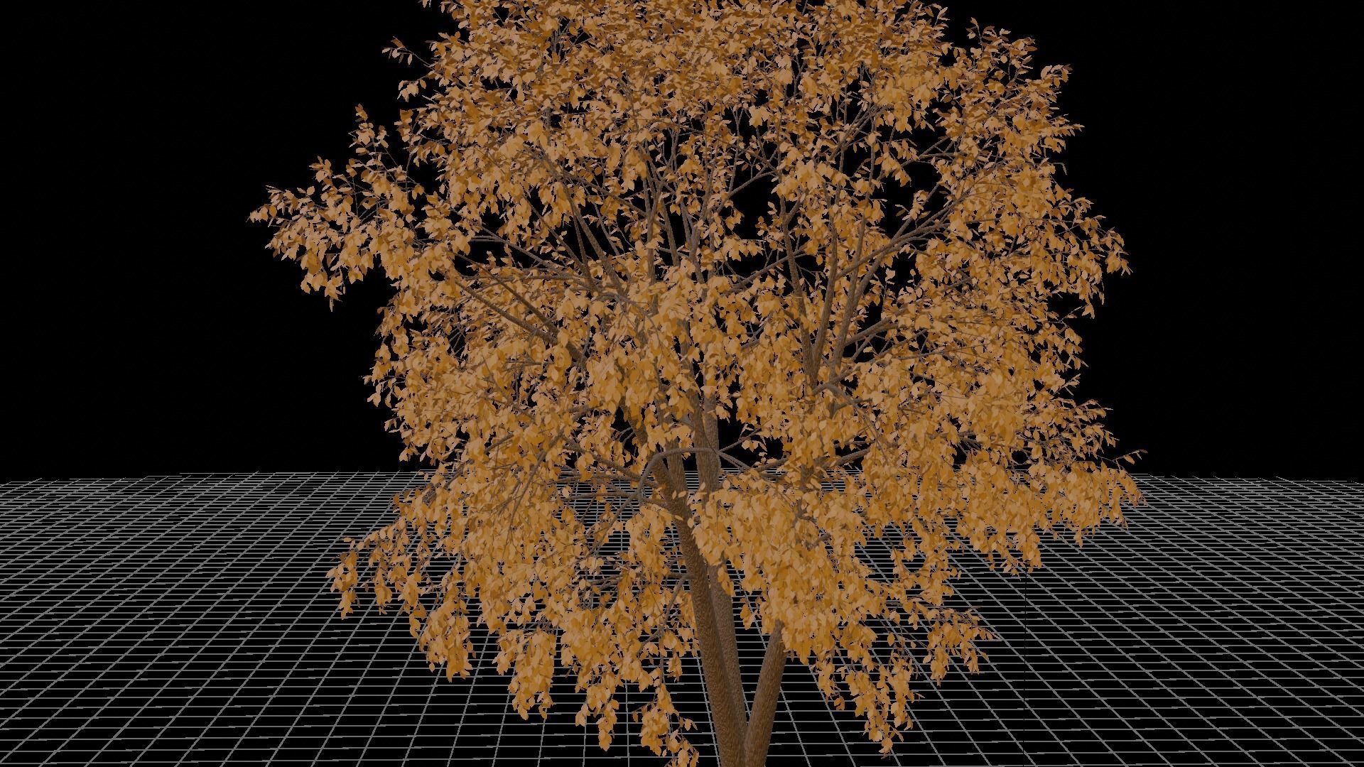 Autumn Tree PBR low-poly game ready tree Low-poly 3D model_2
