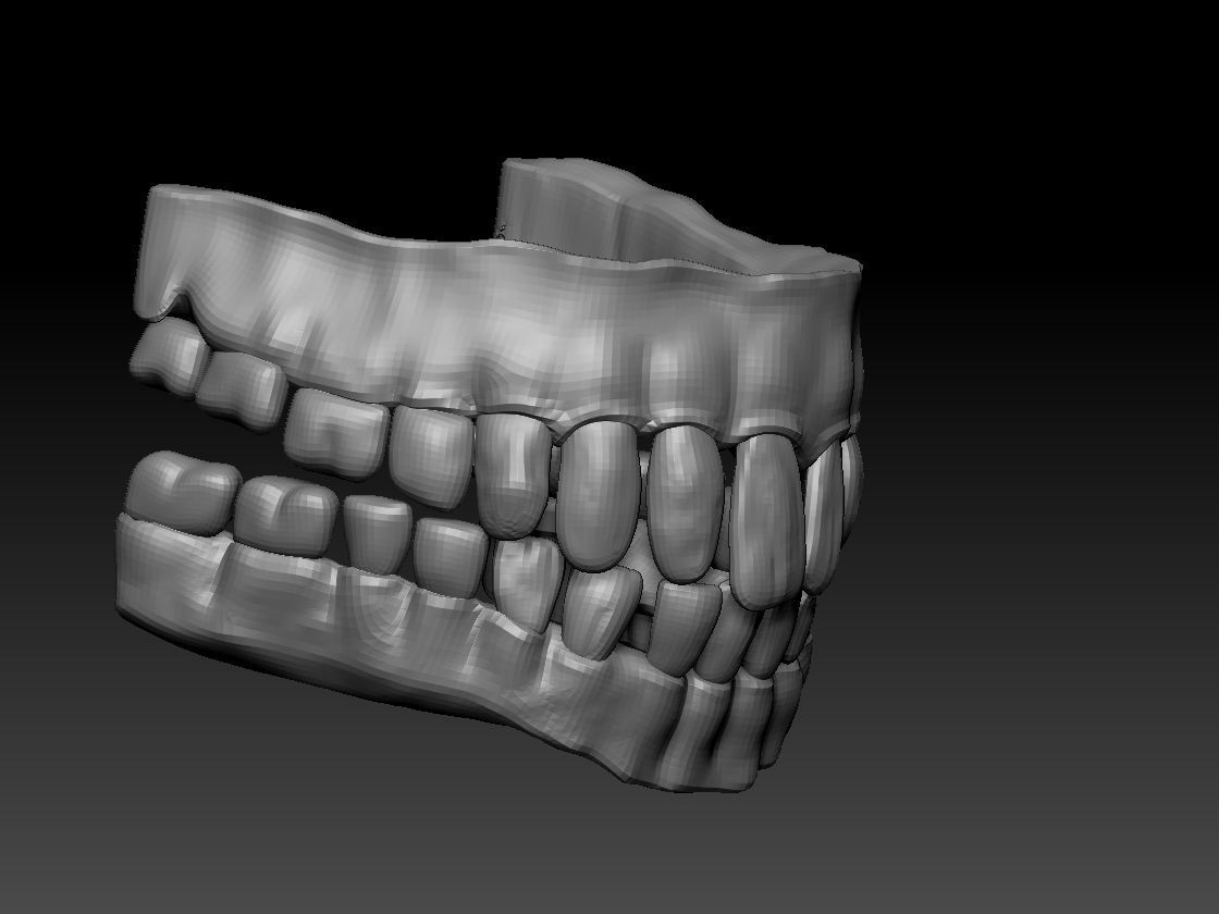teeth and gums obj 3D model_2