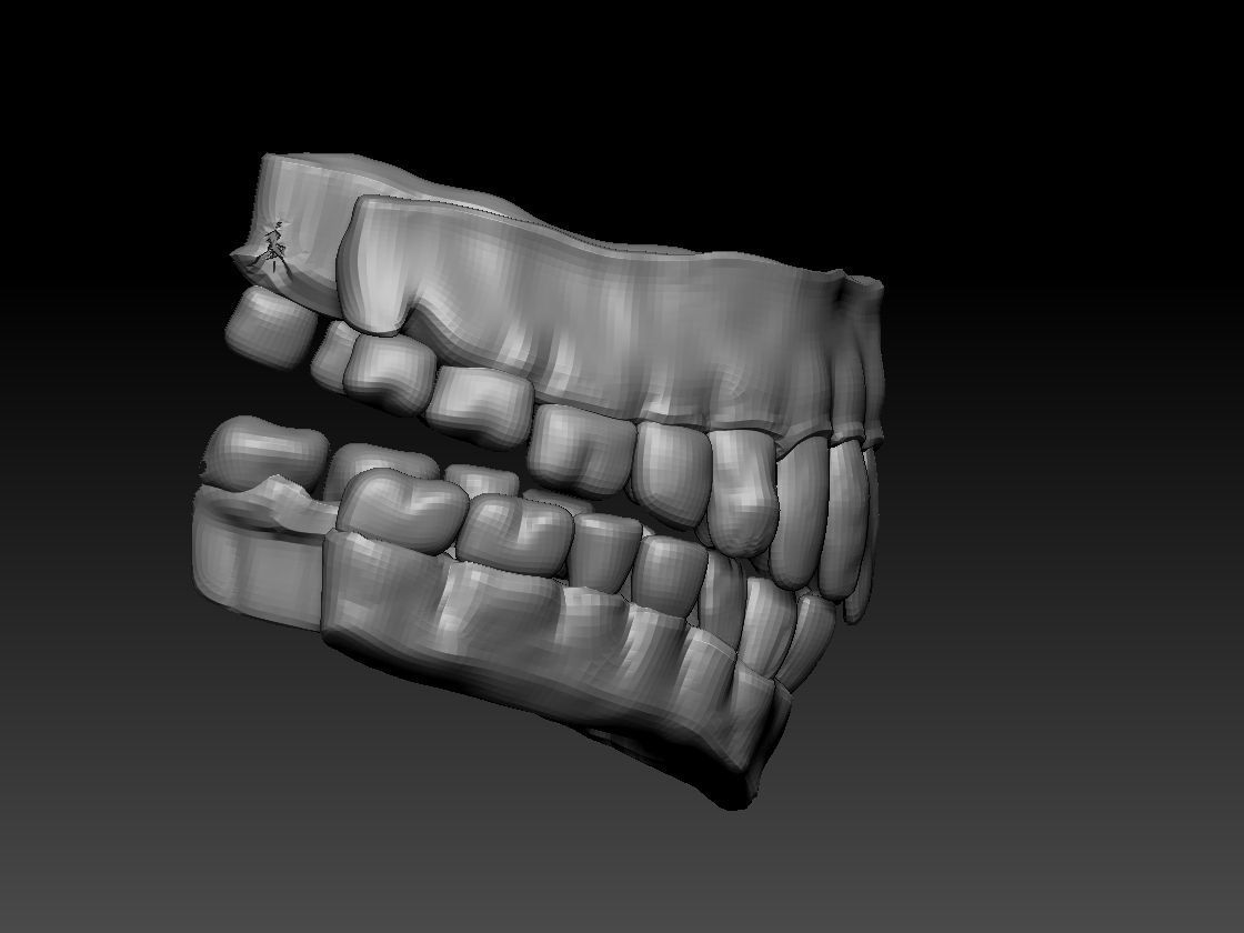 teeth and gums obj 3D model_3