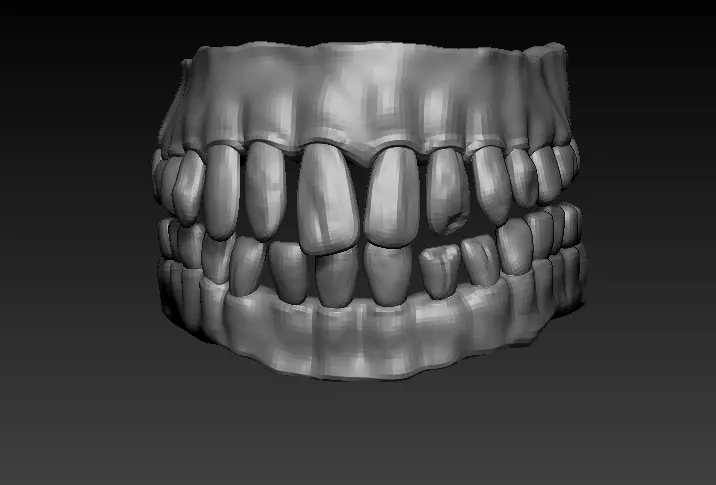 teeth and gums obj 3D model_0