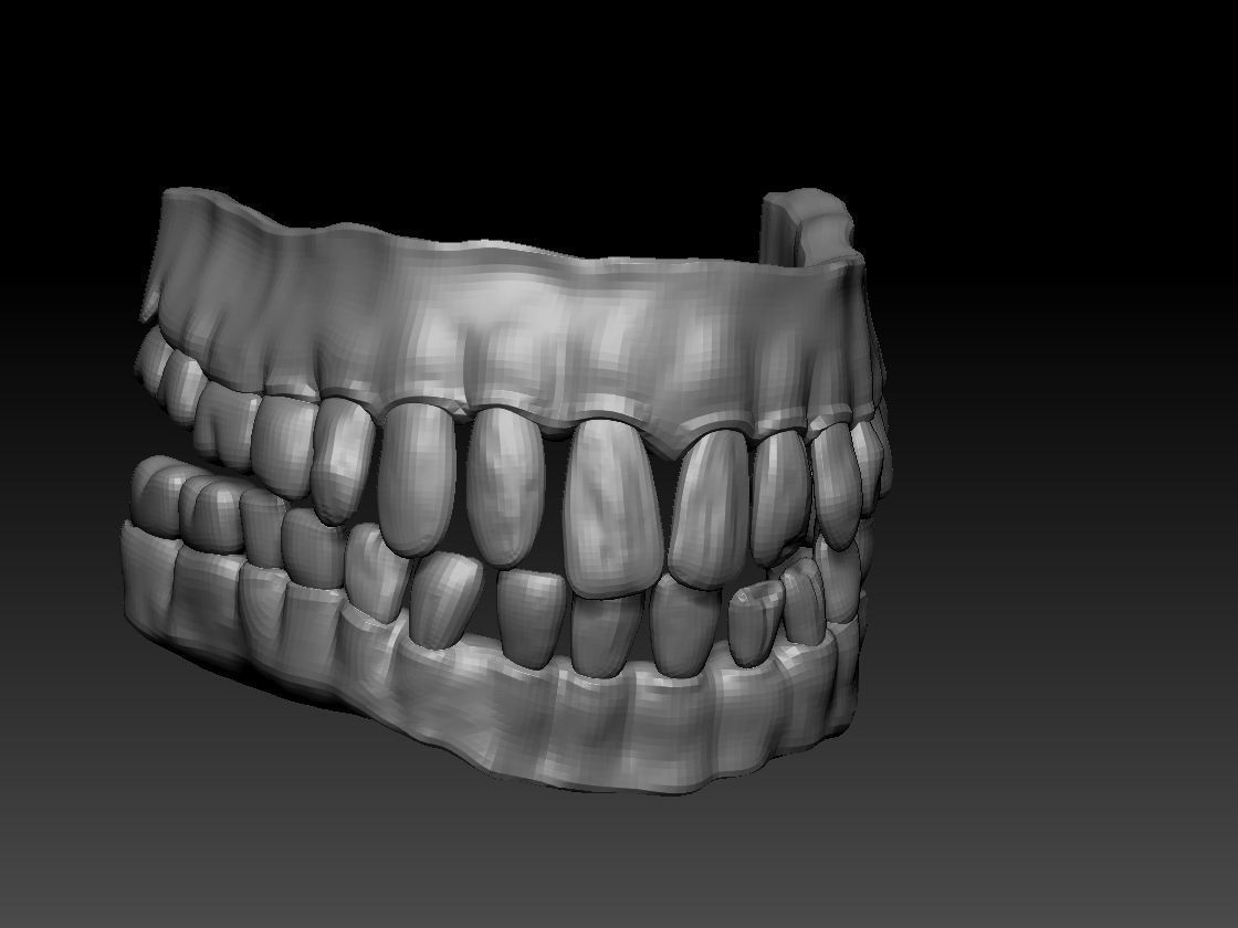 teeth and gums obj 3D model_1