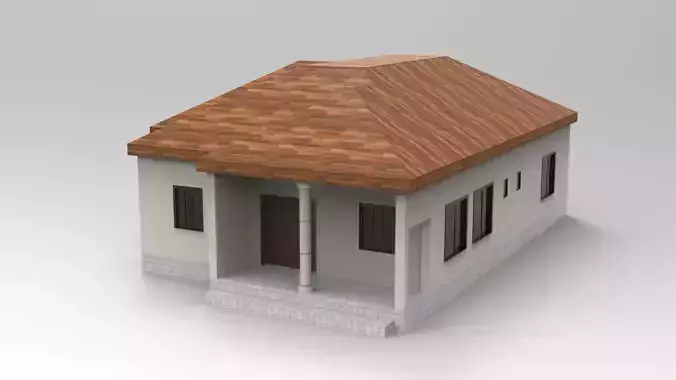 House Design - Single Story - Inclinde Roof