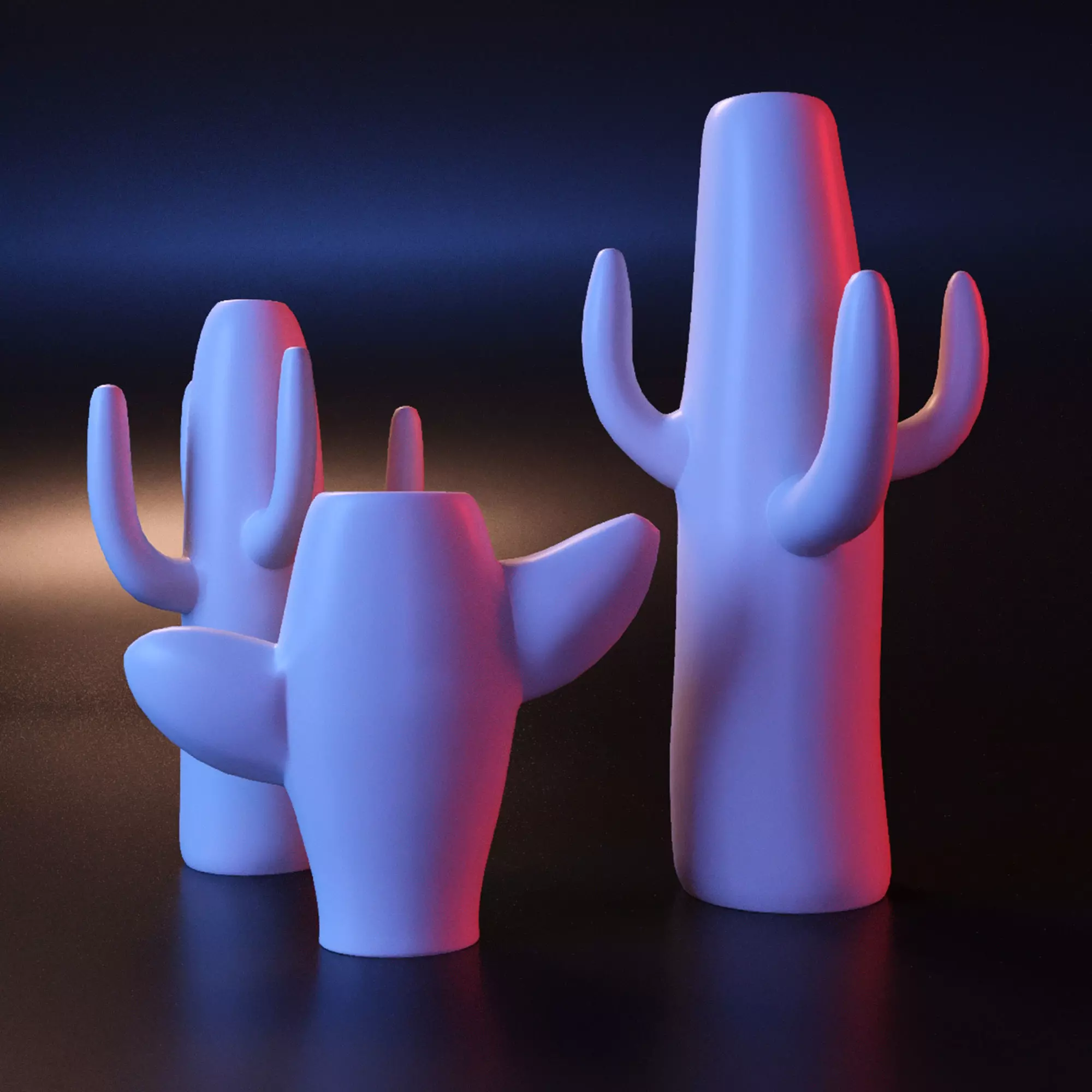 Vase Cactus 3D print model