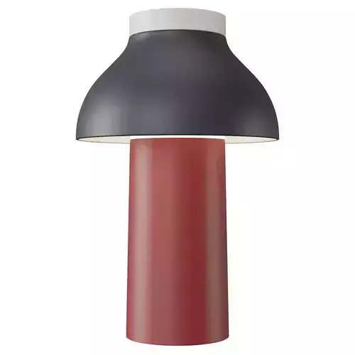 Pc Portable Lamp 3D model