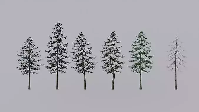 Pine Trees Collection